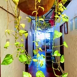 Rooftop Hostal Crisanto Luque