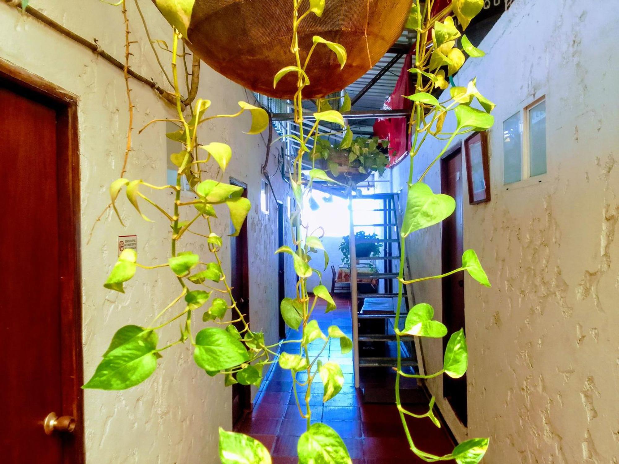 Rooftop Hostal Crisanto Luque Guest house Cartagena